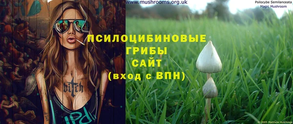 кокс Арсеньев