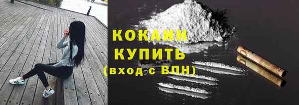кокс Арсеньев