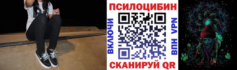 купить   Губаха  Галлюциногенные грибы Psilocybine cubensis 